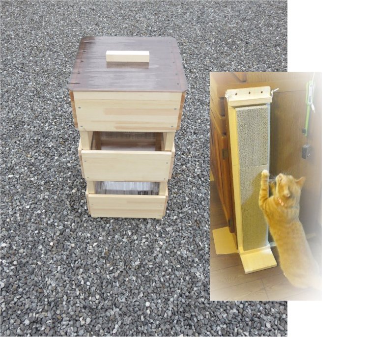 �T���v���ʐ^