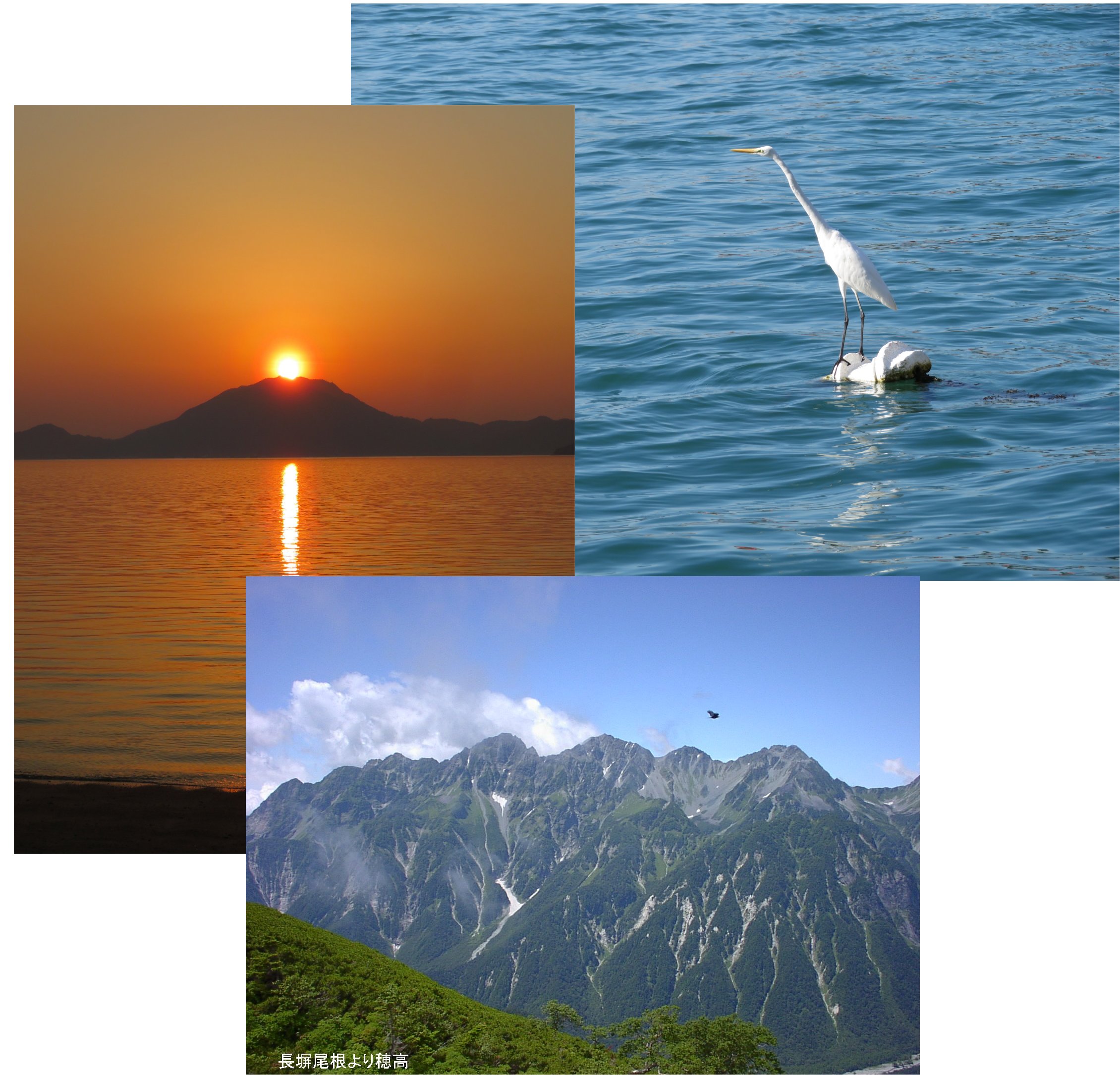 �T���v���ʐ^